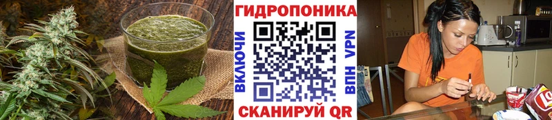 Canna-Cookies конопля  shop как зайти  Коммунар 