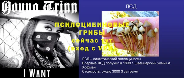 ECSTASY Балахна